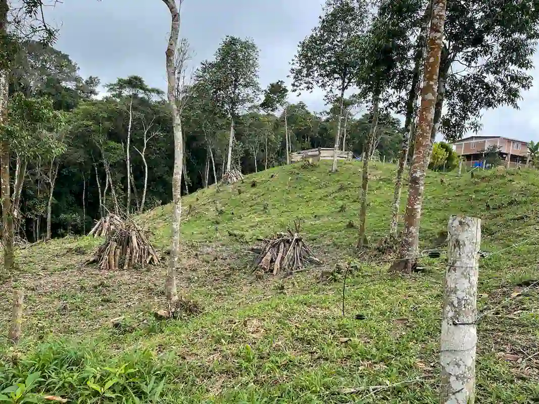 Finca Alto Gaviota